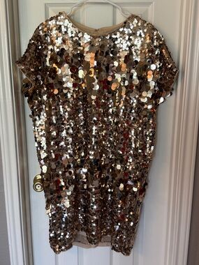 Express Gold Sequin Dress